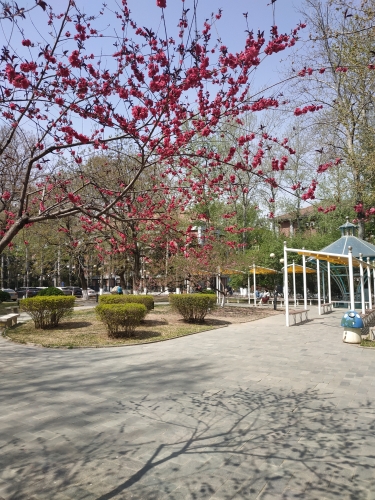 006 地大春