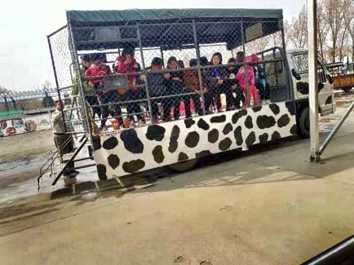 体验活动