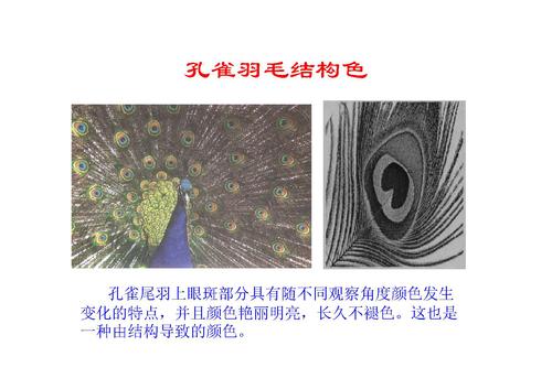 11光子晶体及其应用-19