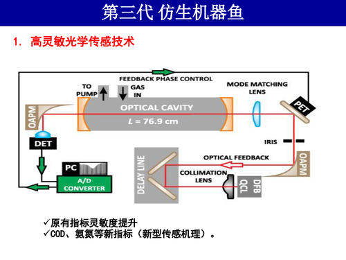 21-水体污染的激光光谱探测方法v4-41