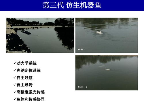 21-水体污染的激光光谱探测方法v4-43