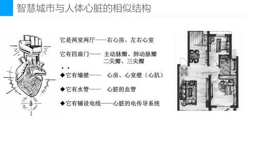 22—城市神经末梢智慧健康生活-7
